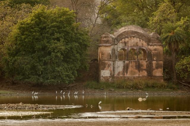 Heritage Tours in Karnataka: Uncovering the Cultural Treasures